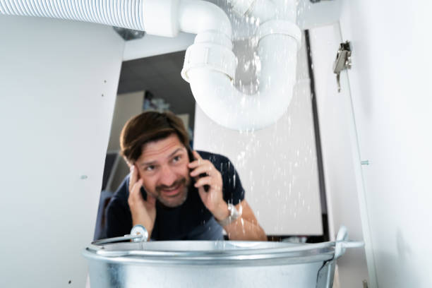 Best Plumbing Inspection Services  in Greenville, NC